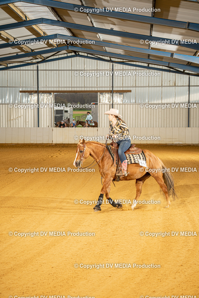 MIT00530 | dv-media-shop - Realisiert mit Pictrs.com