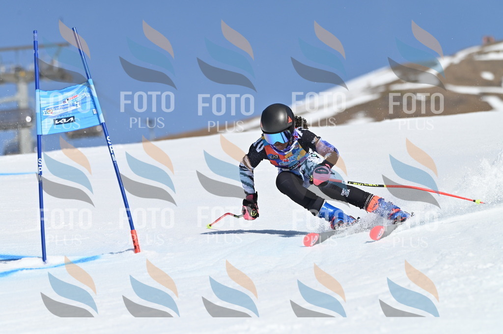 BGV_8607 | holidayphoto