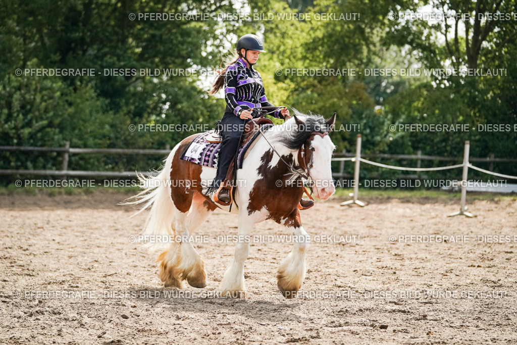 DSC05050 | Pferdegrafie