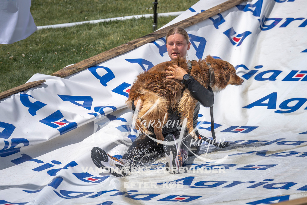 1218_ZZ96467 | kk-dogfotos