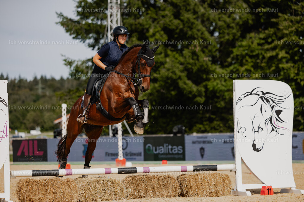Nadine22_FHC2025-112 | working equitationturnier fotograf videograf stoibphotography marixx film working equitation deutschland reitsport turnierfotografie eventfotografie equestrian events