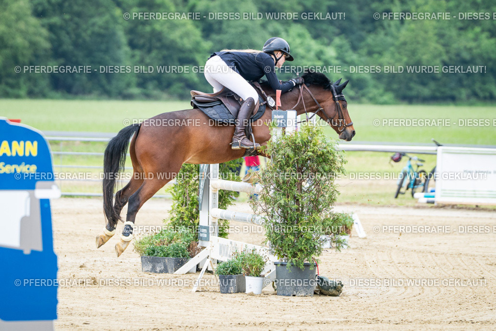 DSC03235 | Pferdegrafie