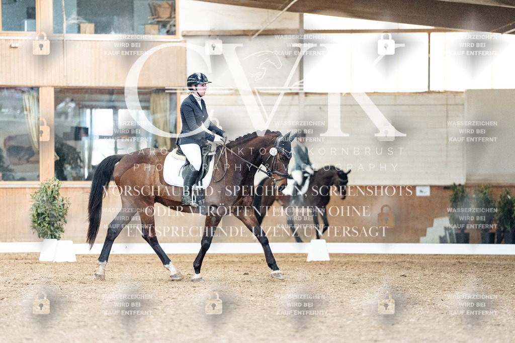 CK900898 | Turnierfotografie Pferdefotografie Trier Rheinland-Pfalz Pferdesport Reitsport Tierfotografie Sportfotografie Pferdevideo Pferdevideografie Equestrianvideography equestrianphotography  - Realisiert mit Pictrs.com
