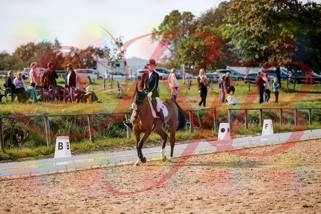2026_10_03_Siefer-Hof_131654_Z63_77950051 | Professionelle Reitsport-, Turnier- und Eventfotografie von Robert Broda. Galerien mit ausgewählten und bearbeiteten Bildern direkt online ansehen und bestellen.