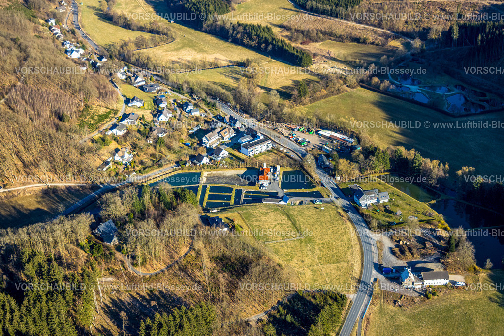 Lennestadt250309619Saalhausen | Luftbild, Forellen Hof Fischteiche, Sauerländer Forellenzucht, Saalhausen, Lennestadt, Sauerland, Nordrhein-Westfalen, Deutschland