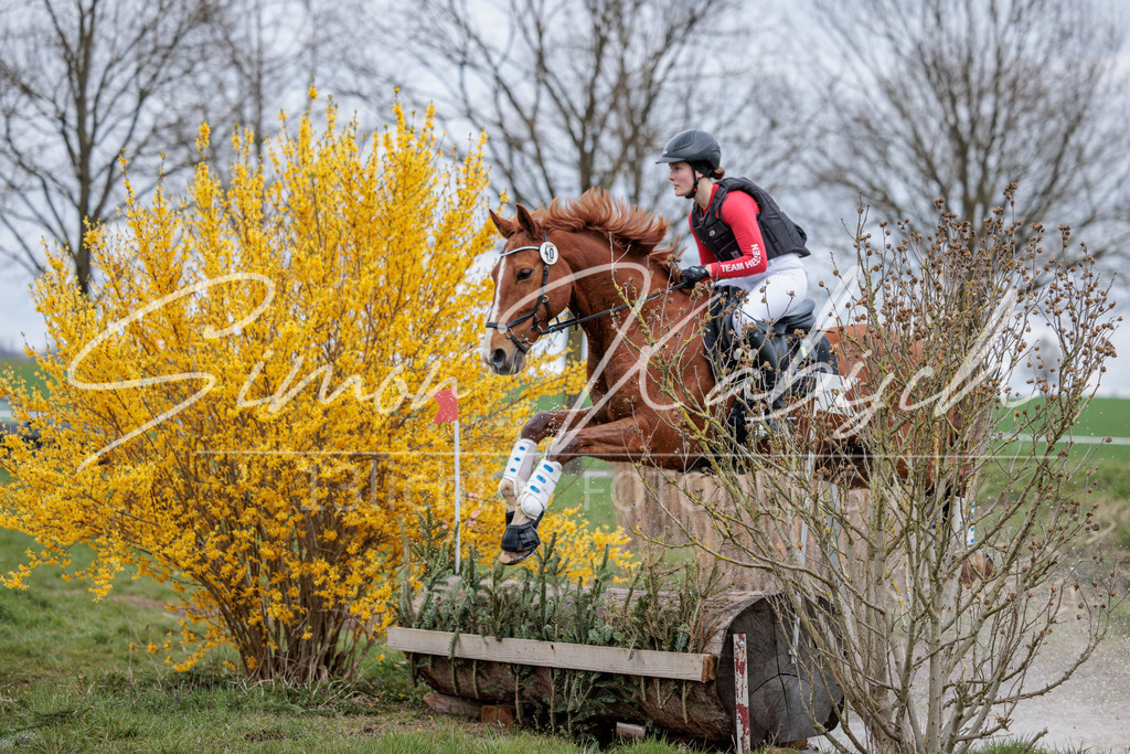 20260329-_3LI5818 | Tierfotografie Pferde, Hunde, Katzen, Haustiere.
Turnierfotografie Reitturniere, Reiten, Springreiten, Dressur in Hanau, dem Main-Kinzig-Kreis und dem Rhein-Main- Gebiet um Frankfurt