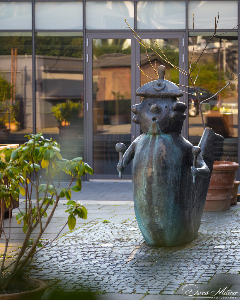 _DSC4729 | Fotografien, Fotos und Bilder aus Mainz, Frankfurt, Wiesbaden und anderen Orten auf der Welt - Fotografiert von Darius Metzner