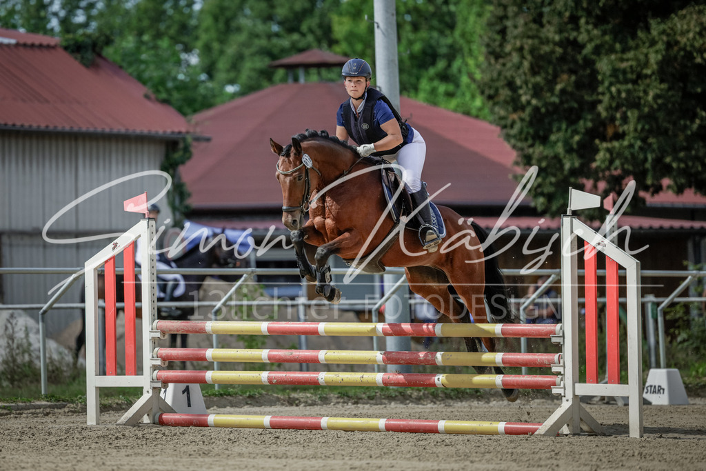 20250906-_3LI5886 | Tierfotografie Pferde, Hunde, Katzen, Haustiere.
Turnierfotografie Reitturniere, Reiten, Springreiten, Dressur in Hanau, dem Main-Kinzig-Kreis und dem Rhein-Main- Gebiet um Frankfurt