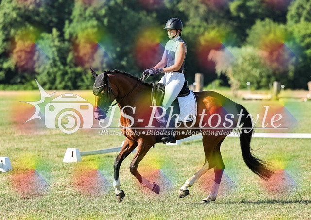 20260628_14a_VA_Dressur-19 | JS-Photostyle - Sport-/Portrait- & Eventfotografie