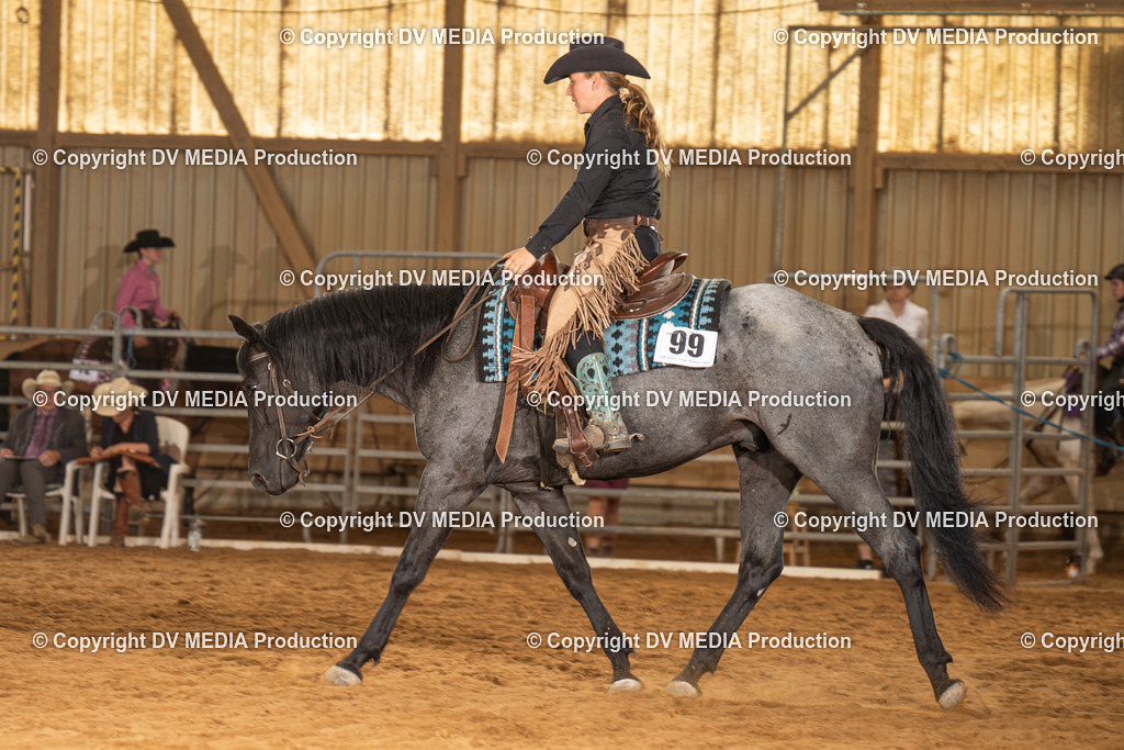 NID01579 | dv-media-shop - Realisiert mit Pictrs.com