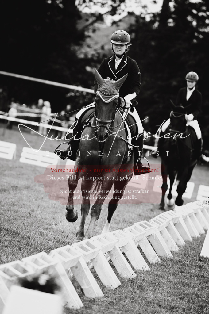 DSC_5170 | Pferde- und Turnierfotografie in Westsachsen. Pferdeportraits, Auftragszeichnungen und intuitive Kunst.