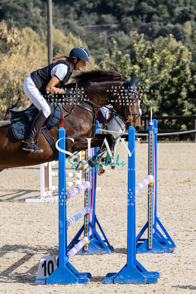 IMG_0596 | s-jay-photography - Realisiert mit Pictrs.com