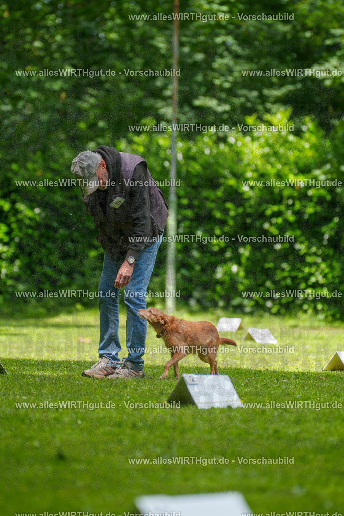 @allesWIRTHgut_Tierfotografie - www.allesWIRTHgut.de - 7R504168 | Professionelle Tierfotografie in Mönchengladbach von Daniel Wirth (allesWIRTHgut). Liebevolle & natürliche Bilder von Hunden & Katzen für unvergessliche Erinnerungen.