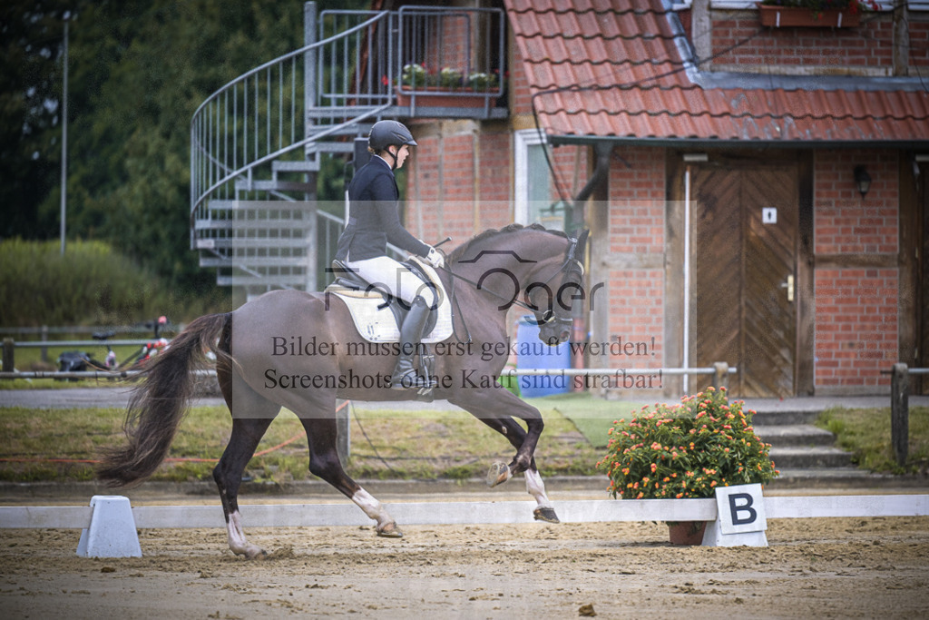 DOS_2268 | Entdecke hochwertige Reitturnierfotos von Foto Oger. Professionell, emotional und authentisch – jetzt Lieblingsmomente im Shop bestellen.Deutschlandweite Turnierfotografie. - Realisiert mit Pictrs.com
