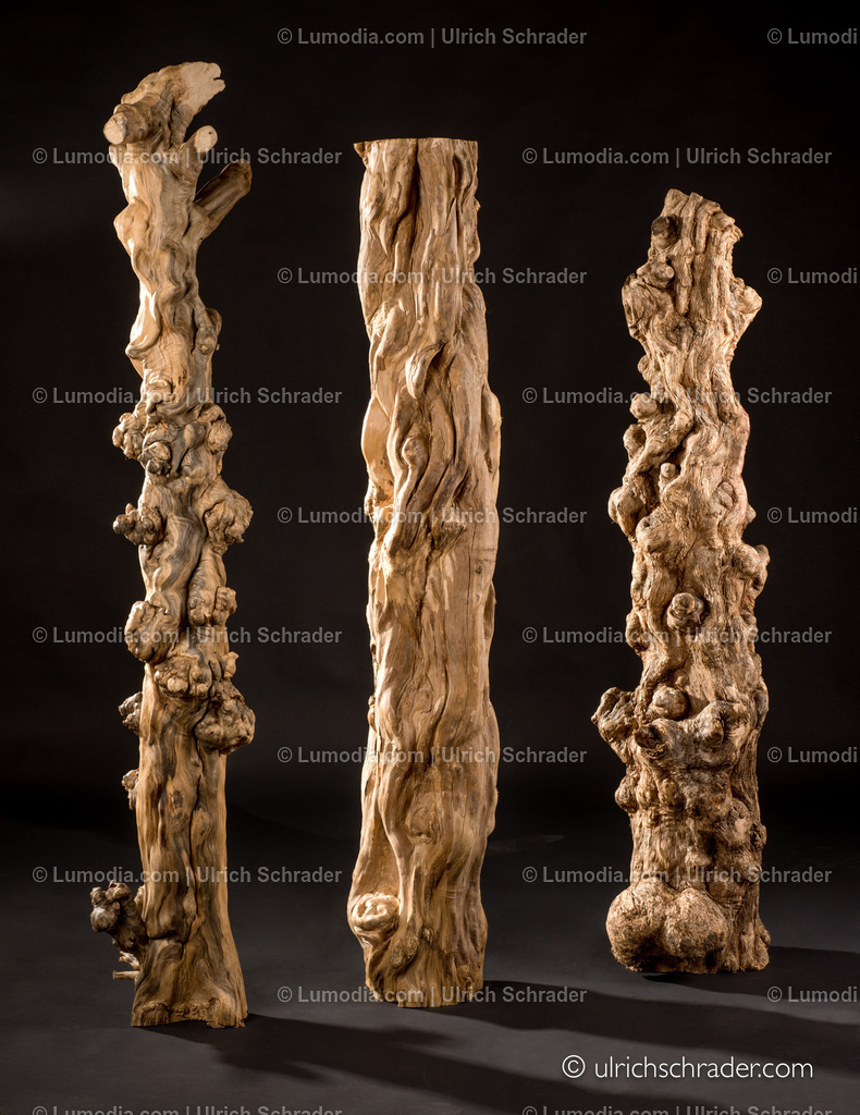 _ulrichschrader.com-73 | Stockfoto und Bilderpool mit Bildmaterial aus Deutschland, dem Harz, Halberstadt, Quedlinburg, Wernigerode und weltweit. Qualitativ hochwertige und professionelle Fotos anschauen und kaufen. - Realisiert mit Pictrs.com