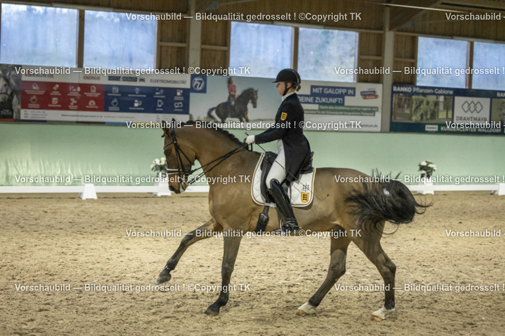 _D5A7207 | Emotionale Pferde- & People-Fotografie rund um Heidelberg, Leimen & Umgebung. Natürliche Fotos von Pferd, Mensch & Familie. Jetzt Termin sichern!