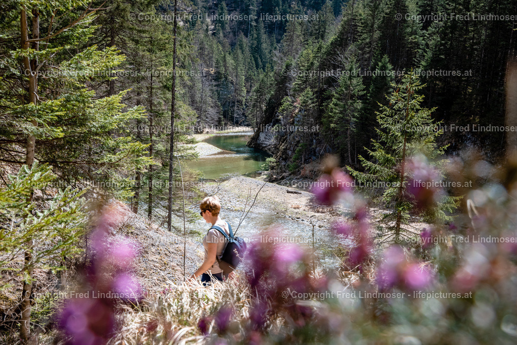 Klausgraben Salzatal Mariazellerland 01052021-3500 | Fotos und Fotoprodukte - Realisiert mit Pictrs.com