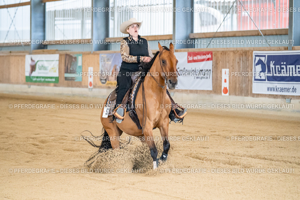 DSC08145 | Pferdegrafie