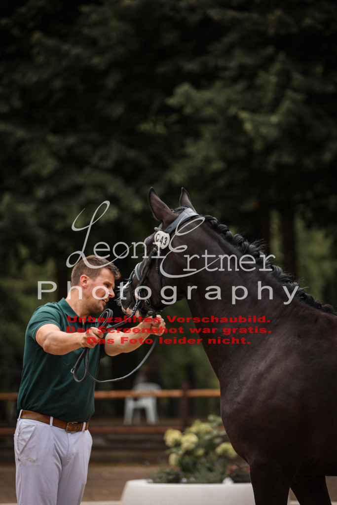 8.So00033 | Leoni Ertmer Photography - Realisiert mit Pictrs.com