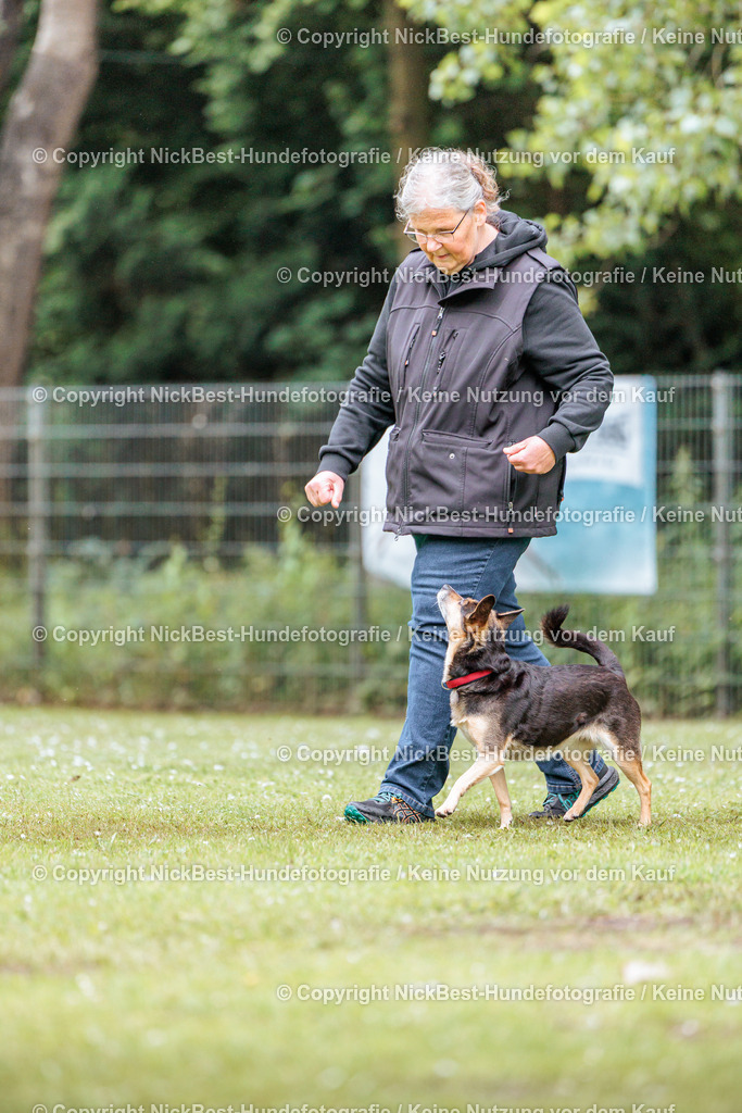 RO-Blumenthal-2026-Nickbest-Hundefotografie-4493 | Dein Hund! Dein Moment! Deine Erinnerungen! Hundefotografie in Bremen Blumenthal. Ich fange die besonderen Momente deines Vierbeiners ein – ob Indoor mit Blitzanlage oder in der freien Natur. Sicher dir dein Moment und dein Termin für eure Erinnerungen.