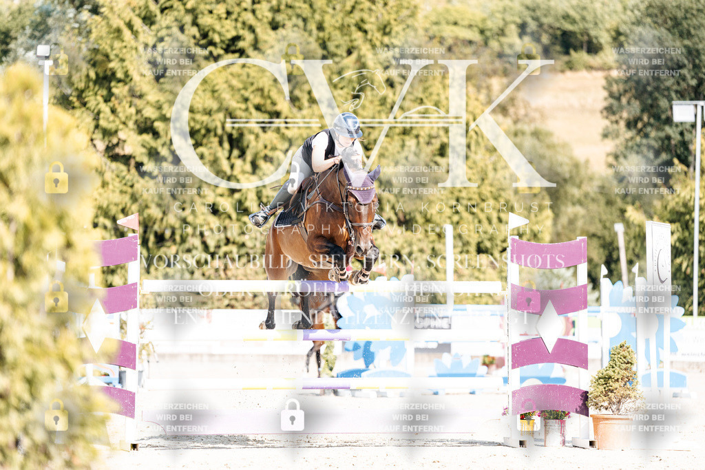 CK909111 | Turnierfotografie Pferdefotografie Trier Rheinland-Pfalz Pferdesport Reitsport Tierfotografie Sportfotografie Pferdevideo Pferdevideografie Equestrianvideography equestrianphotography  - Realisiert mit Pictrs.com