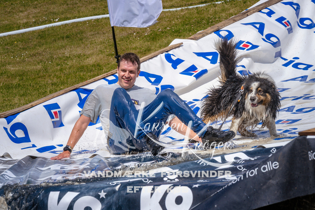 _ZZ982371038 | kk-dogfotos