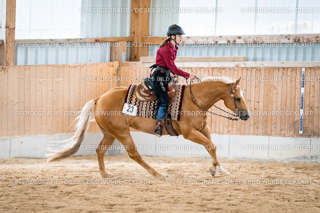 DSC01271 | Pferdegrafie