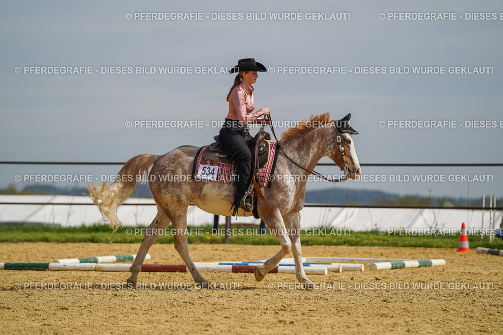 DSC04112 | Pferdegrafie