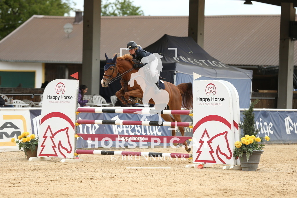 DL2Q3085 | Willkommen bei Brunnmayr - Design & Fotografie – Ihrem Spezialisten für Reitturniere und Pferdeveranstaltungen in Oberösterreich, Salzburg und Bayern! Seit über 17 Jahren sind wir leidenschaftlich dabei.