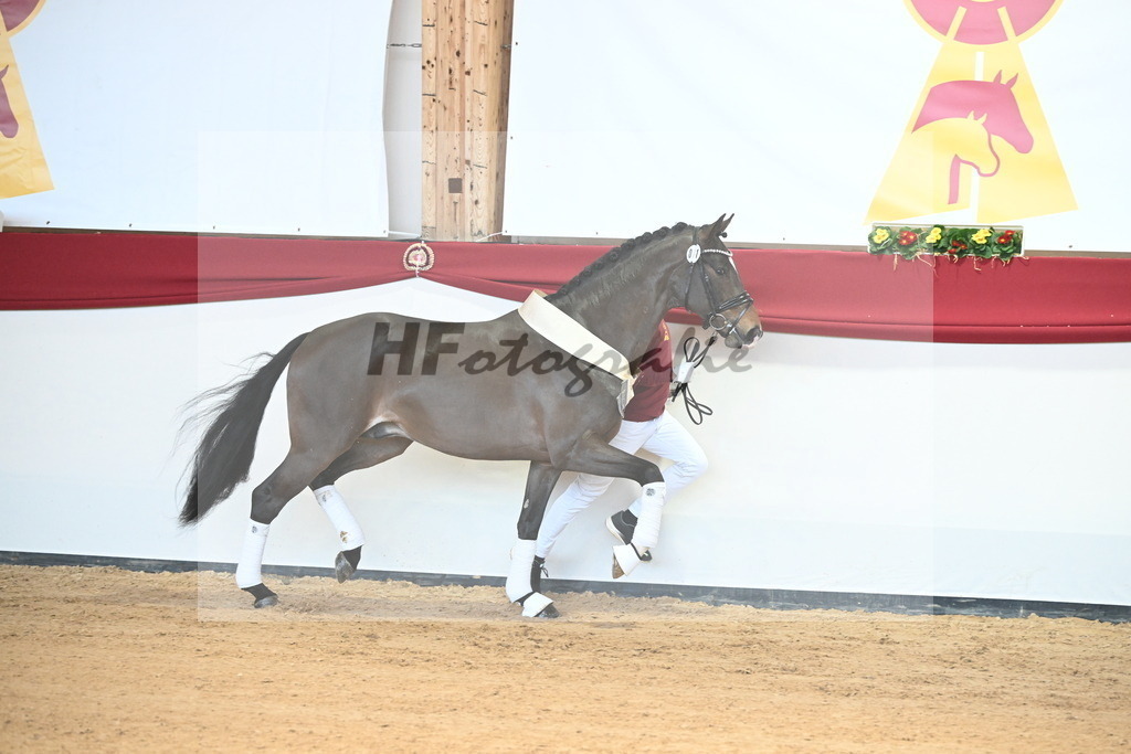 Kat.-Nr. 71 v. Va Bene_Müller_2242643 | hf-fotografie - Realisiert mit Pictrs.com