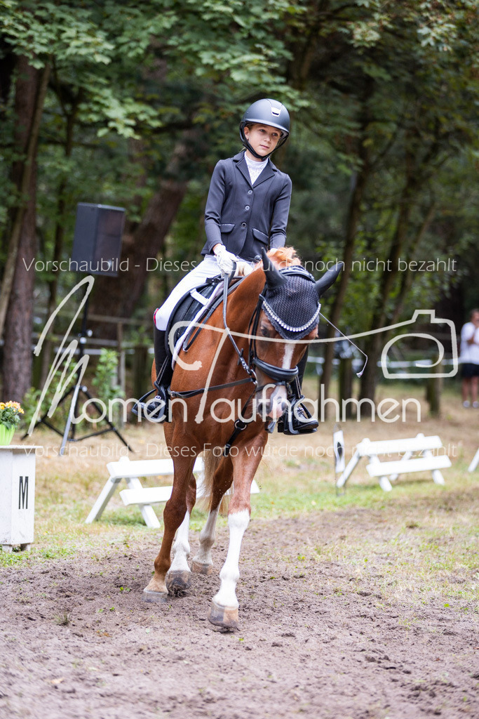 HB-Reiter-WB-040 | MomenTaufnahmen Pferdesportfotos