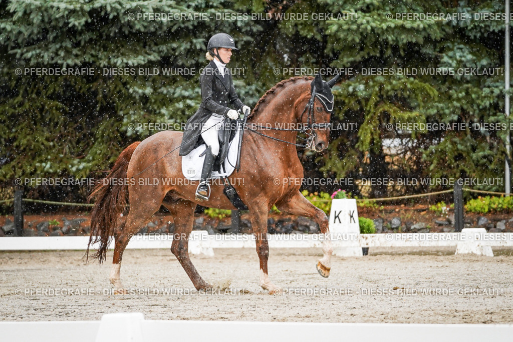 DSC09229 | Pferdegrafie