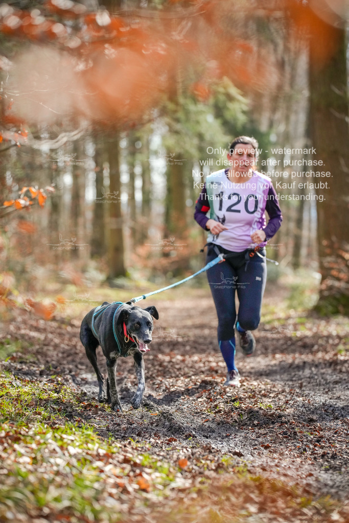 1_So_CC-92 | stephaniefillaphotographie - Realisiert mit Pictrs.com