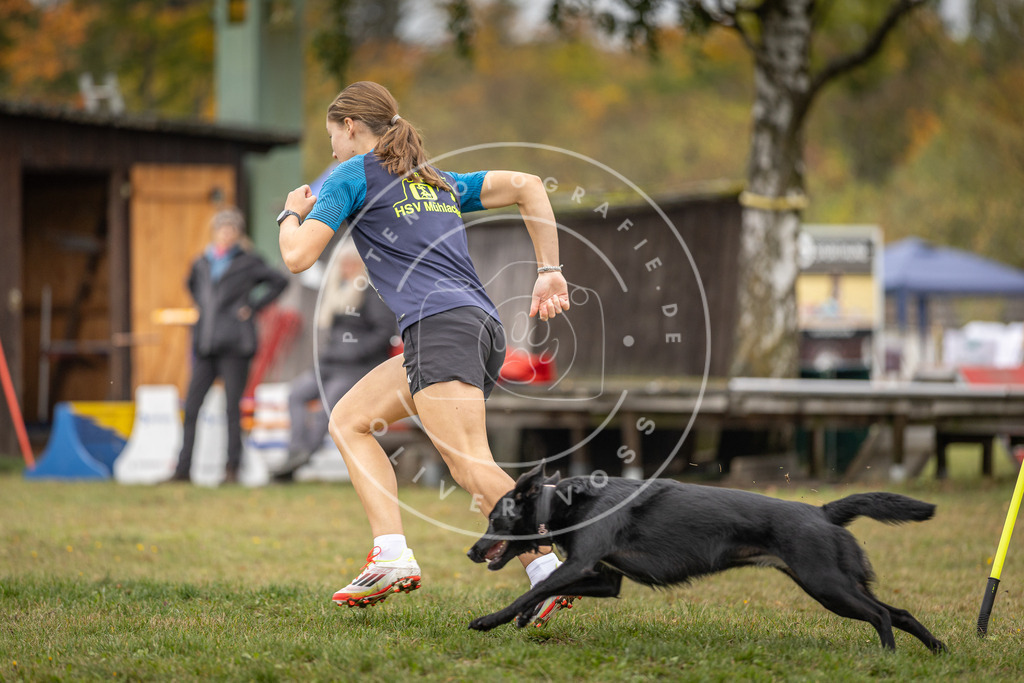 Pfotenfotografie_DV3A4966 | Hundefotografie, Tierfotograf, Pfotenfotografie, Fotoshooting Hund, Hunde Portrait, Hundesport, Hundeportraits, Heideshooting, Hunde, Sportfotograf, Hundefotograf, Turnierhundsport, THS,  - Realisiert mit Pictrs.com