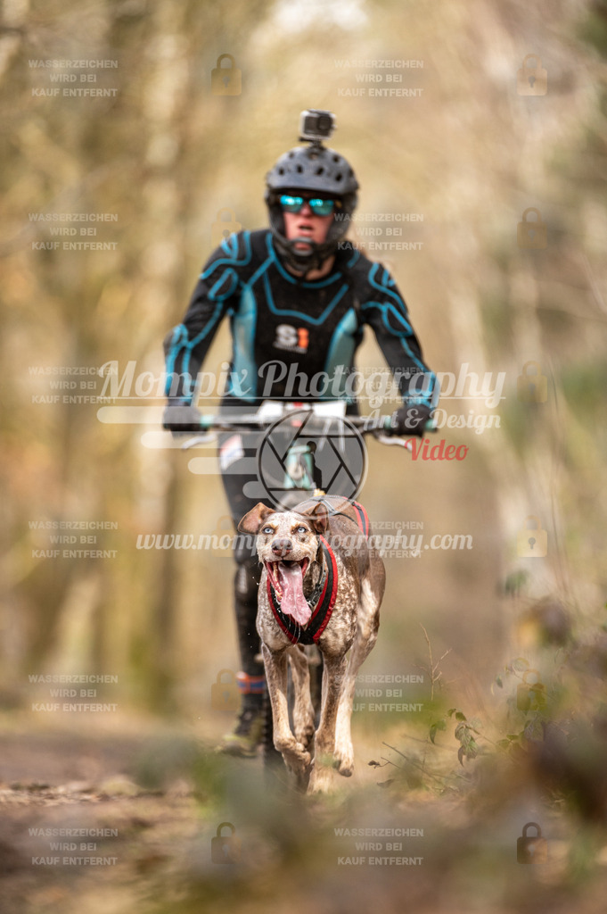 SPA_2023_SAM_Scooter-50 | PayLife