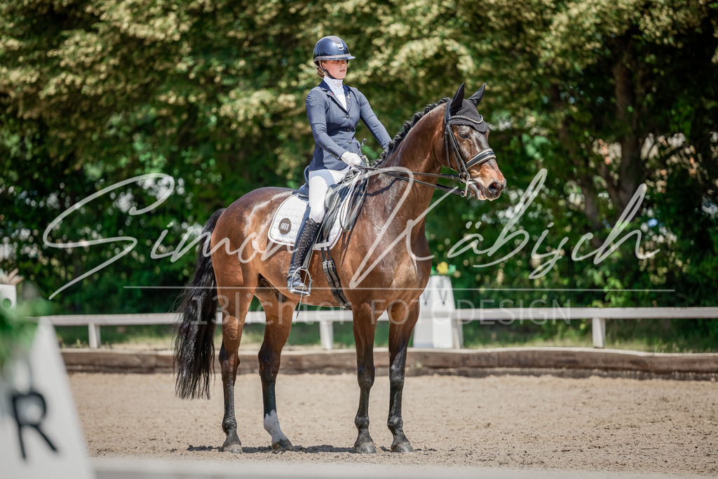 20250621-_3LI7391 | Tierfotografie Pferde, Hunde, Katzen, Haustiere.
Turnierfotografie Reitturniere, Reiten, Springreiten, Dressur in Hanau, dem Main-Kinzig-Kreis und dem Rhein-Main- Gebiet um Frankfurt