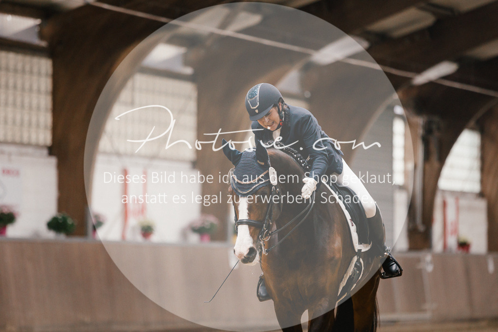 3I6A8647 | Stimmungsvolle Portraits und Reitsportfotografie im Ruhrgebiet und im Münsterland.

Pferdefotografie, Hundefotografie, Tierfotografie, Reportagen, Portraits von Tier und Mensch, Turnierfotografie in Bochum, Recklinghausen, Marl, Haltern am See, Dülmen.. - Realisiert mit Pictrs.com