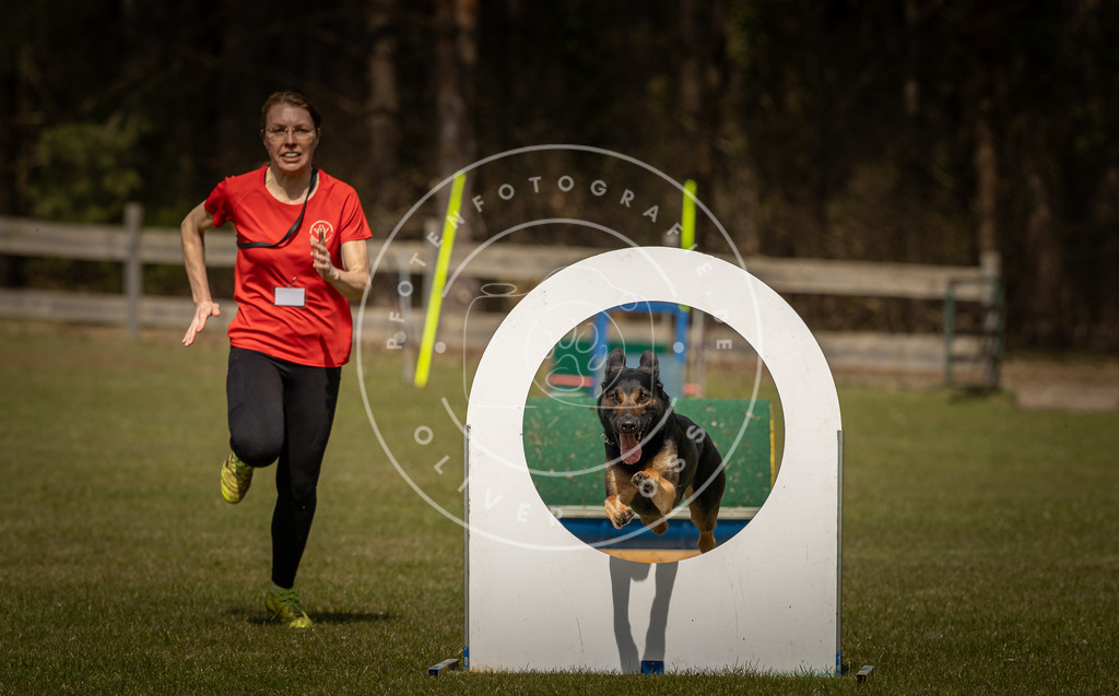 Pfotenfotografie_DV3A5897 | Hundefotografie, Tierfotograf, Pfotenfotografie, Fotoshooting Hund, Hunde Portrait, Hundesport, Hundeportraits, Heideshooting, Hunde, Sportfotograf, Hundefotograf, Turnierhundsport, THS,  - Realisiert mit Pictrs.com