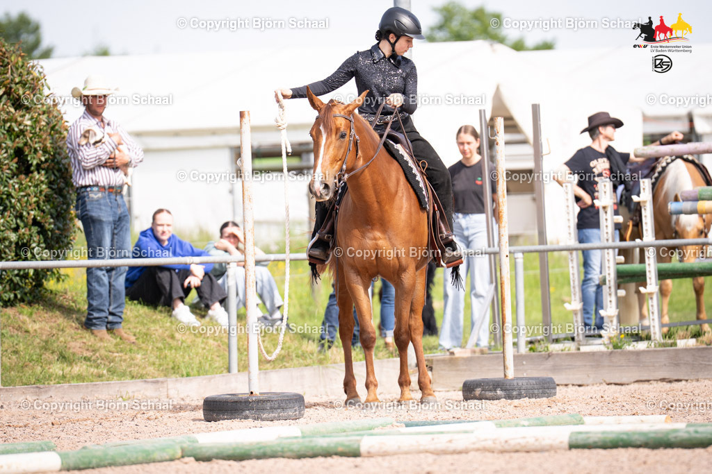 LMB08973 | BS-foto