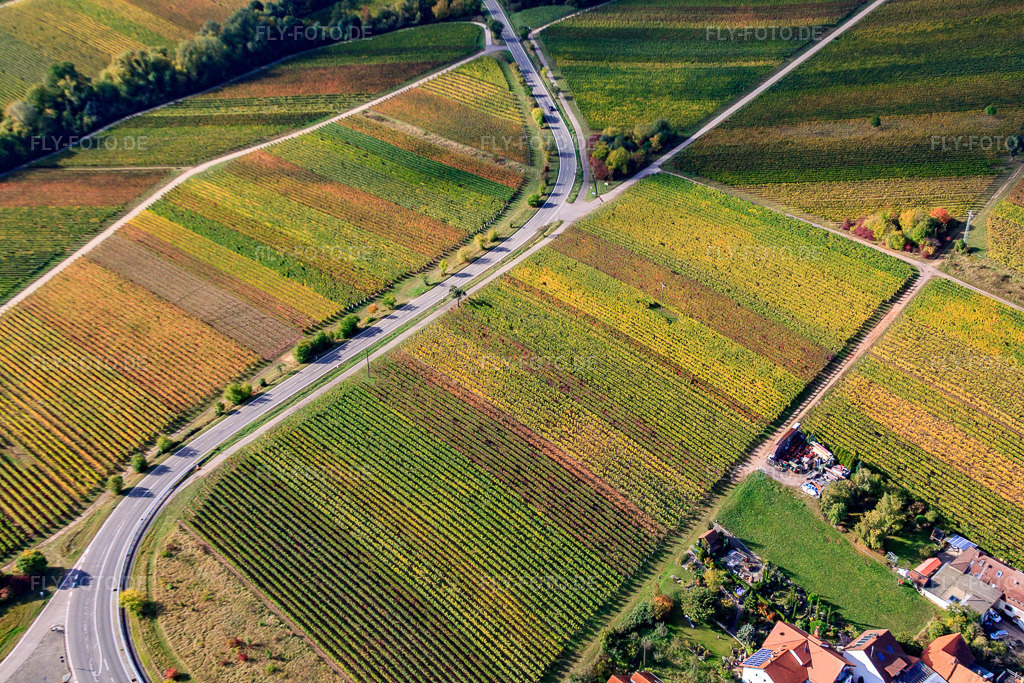 Luftbild: Weinberge am Fuchsgraben im Ortsteil Arzheim in Landau im Bundesland Rheinland-Pfalz in Deutschland. Foto: IMG_22346.jpg vom 15.10.2009 durch Werner Riehm/FLY-FOTO.de
