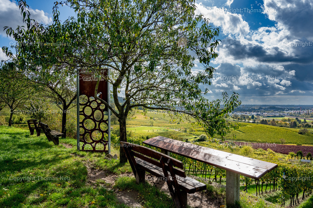 DSC_6972 | Weinberge zwischen Bensheim und Heppenheim, Herbststimmung ,Weinberge, Weinblick,Landschaftsfotografie,, Bild: Thomas Neu