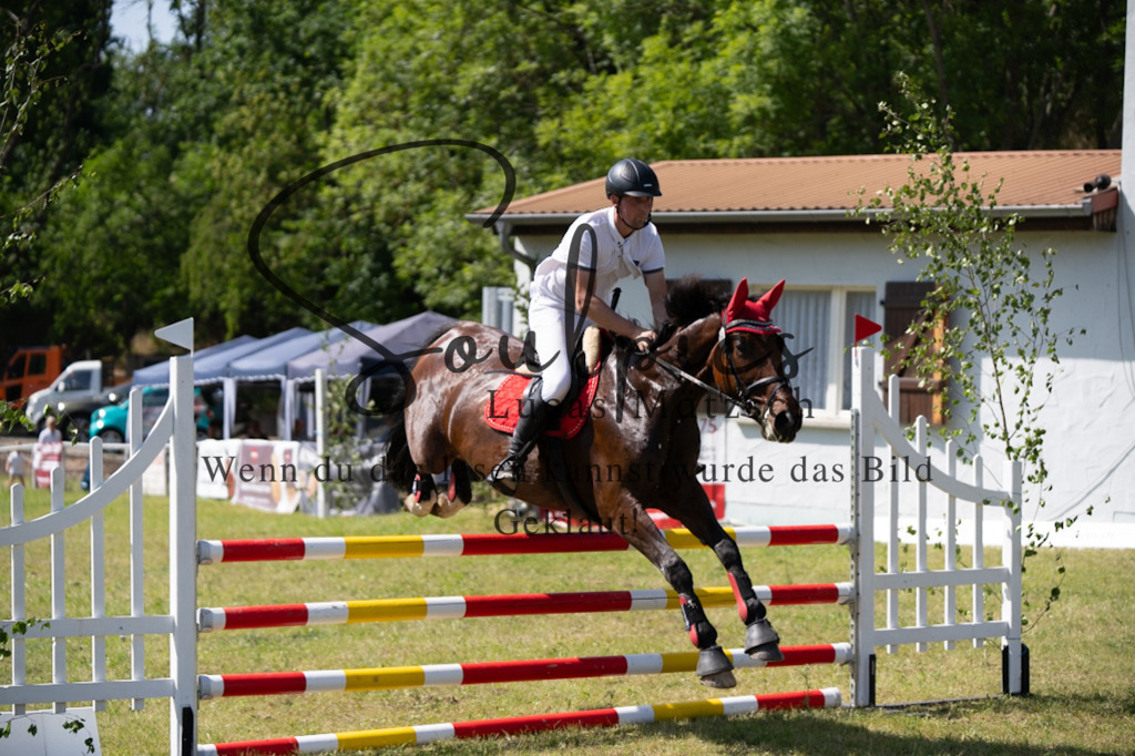 A7V06511 | Pferdefotograf