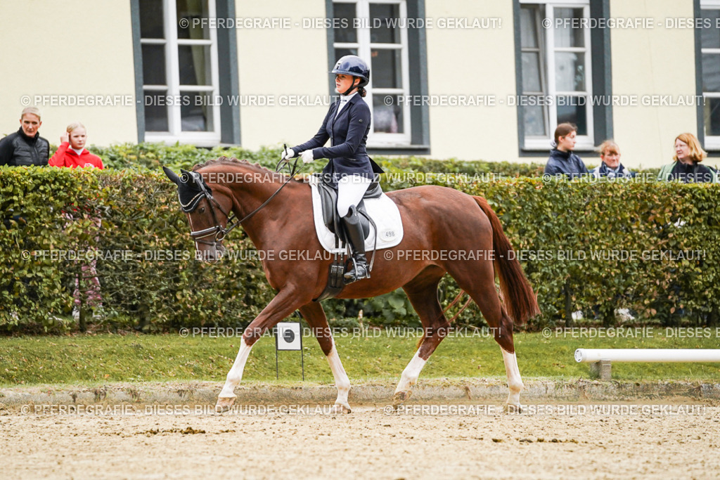 DSC06895 | Pferdegrafie