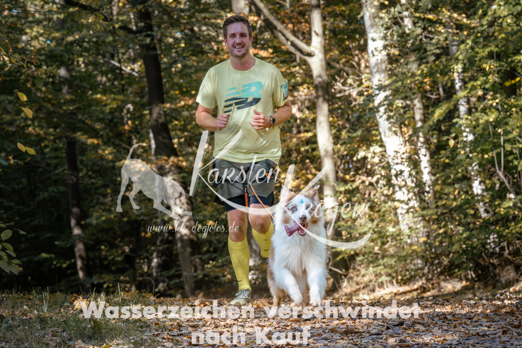 1231_ZZ95470 | kk-dogfotos