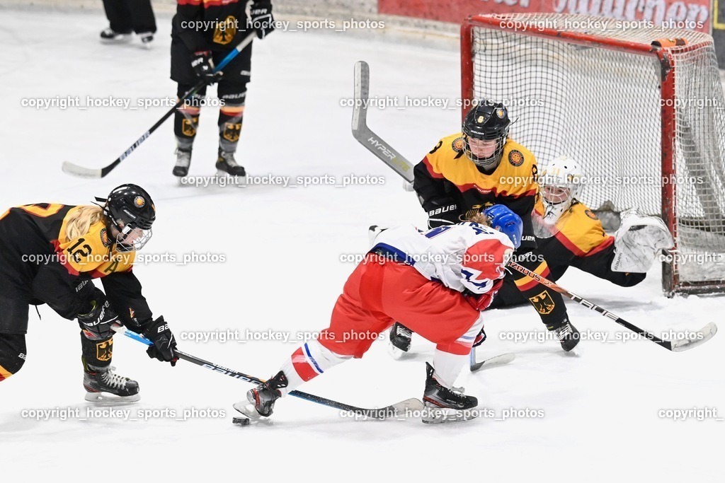 BST_4081 | hockey sports photos, Pressefotos, Sportfotos, hockey247, win 2day icehockeyleague, Handball Austria, Floorball Austria, ÖVV, Kärntner Eishockeyverband, KEHV, KFV, Kärntner Fussballverband, Österreichischer Volleyballverband, Alps Hockey League, ÖFB, 