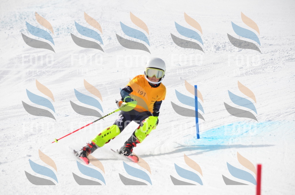 C8060 | holidayphoto