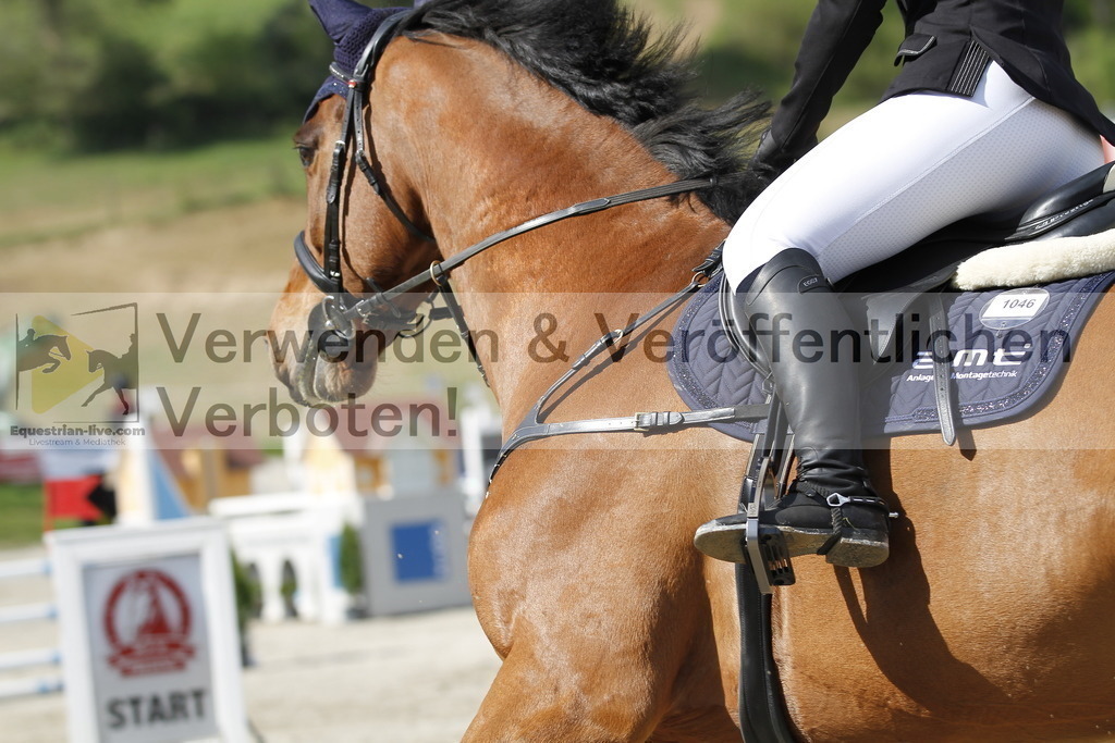 _MG_7948 | equestrian-live-com