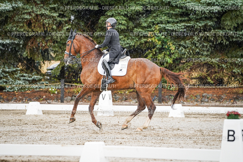 DSC09132 | Pferdegrafie