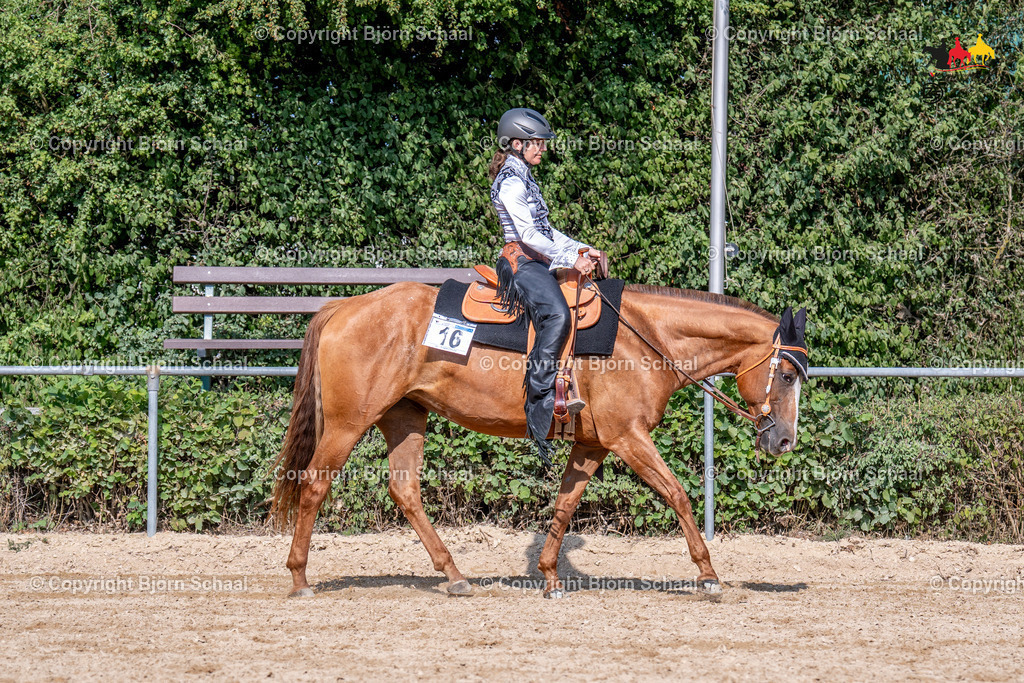 LMS07320 | BS-foto