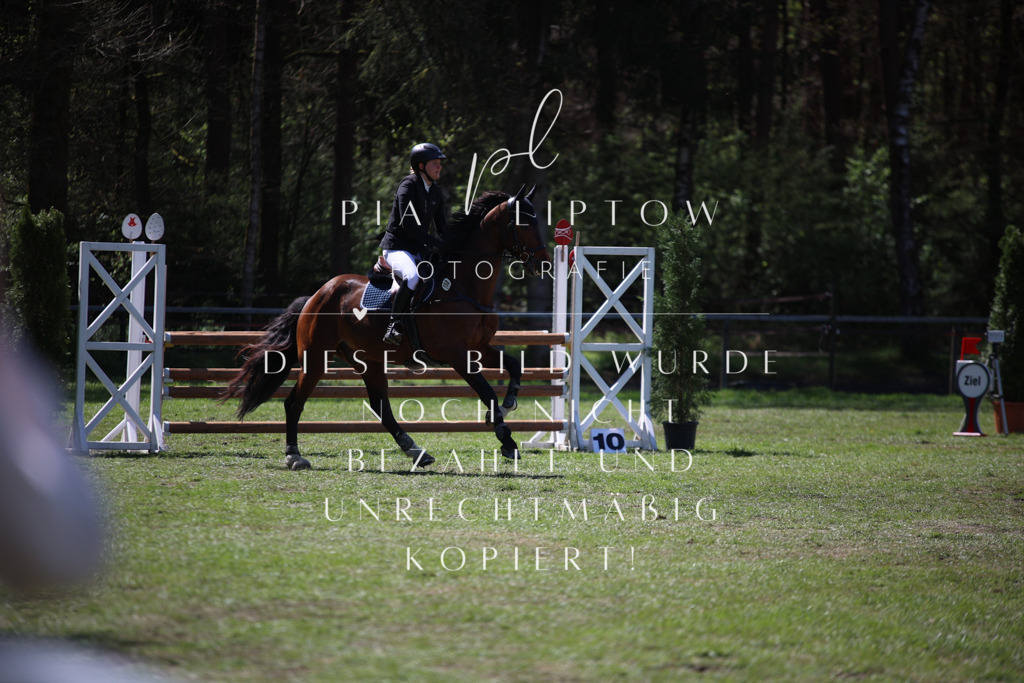 IMGT1124 | pl-fotografie